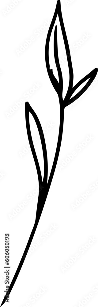 hand drawn floral line art hand drawn floral line art