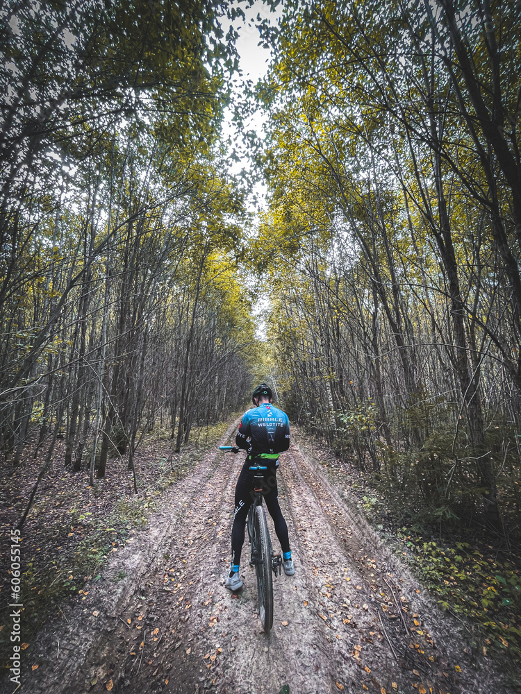 cyclist in the trees, bicycle on a forest road