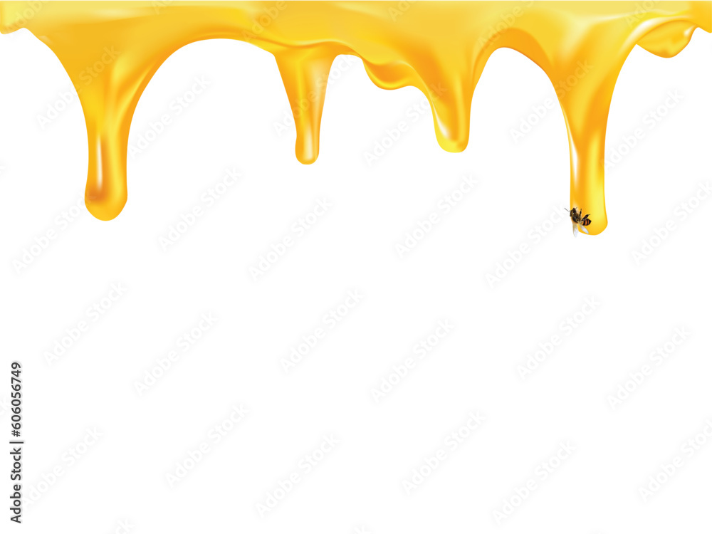 Dripping honey. Golden yellow realistic syrup or juice dripping liquid oil splashes vector template