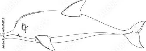 Cartoon Dolphin Vector Graphic