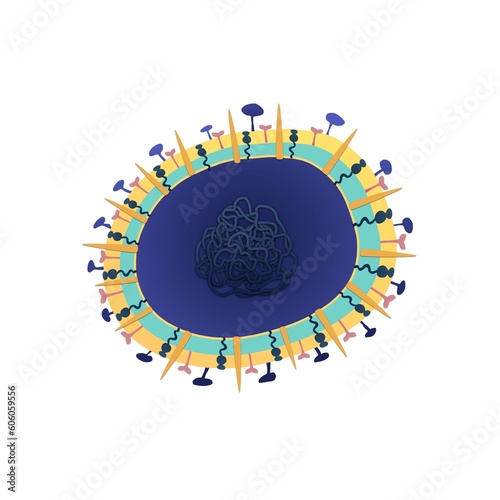 streptococcus pyogenes bacterium medical images photo
