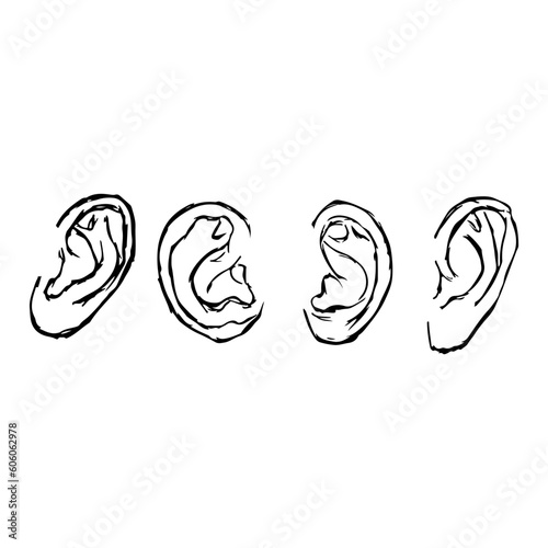 Ears. Vector illustration. Isolated on white. Hand-drawn style.