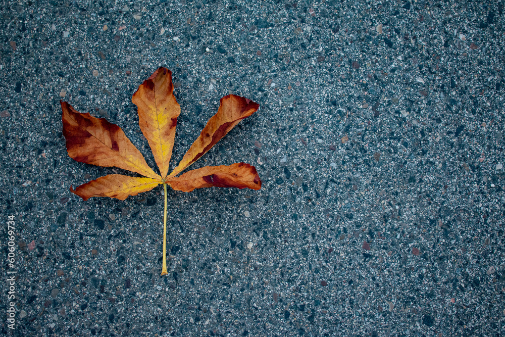 red chestnut leave on a greyish background red chestnut leave on a greyish background