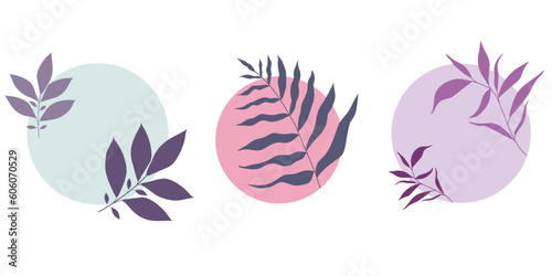 Set of branch with leaves on circle shape  Vector illustration for labels  branding business identity  wedding invitation