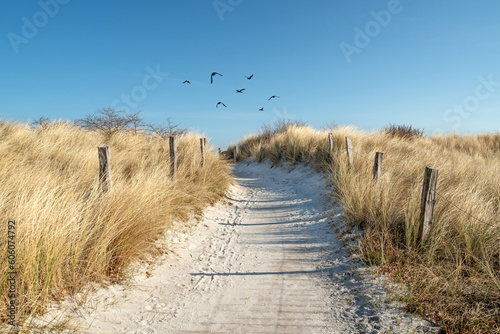 wooden path to the sea - dunes, sand and sea