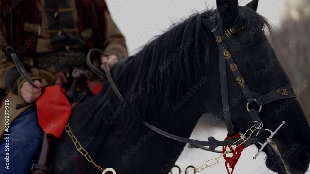 Cossack on horseback, portrait of man in historical suit and closeup of pet muzzle, history concept Cossack on horseback, portrait of man in historical suit and closeup of pet muzzle, history concept
