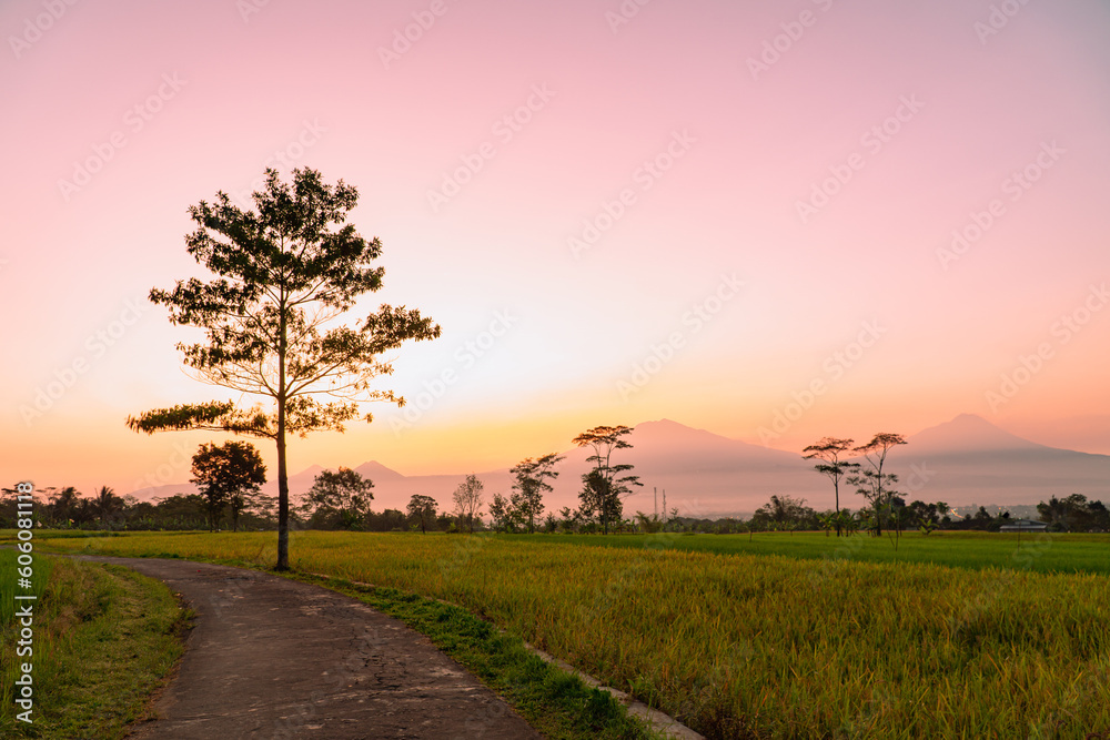 Panoramic landscape of Indonesian countryside in sunrise time. Plantation and mountain range on the background.