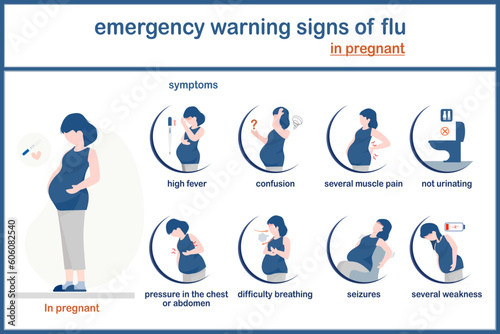 vector illustration infographic of influenza (flu) concept.symptoms of emergency warning signs of flu in pregnant persons.flat style.