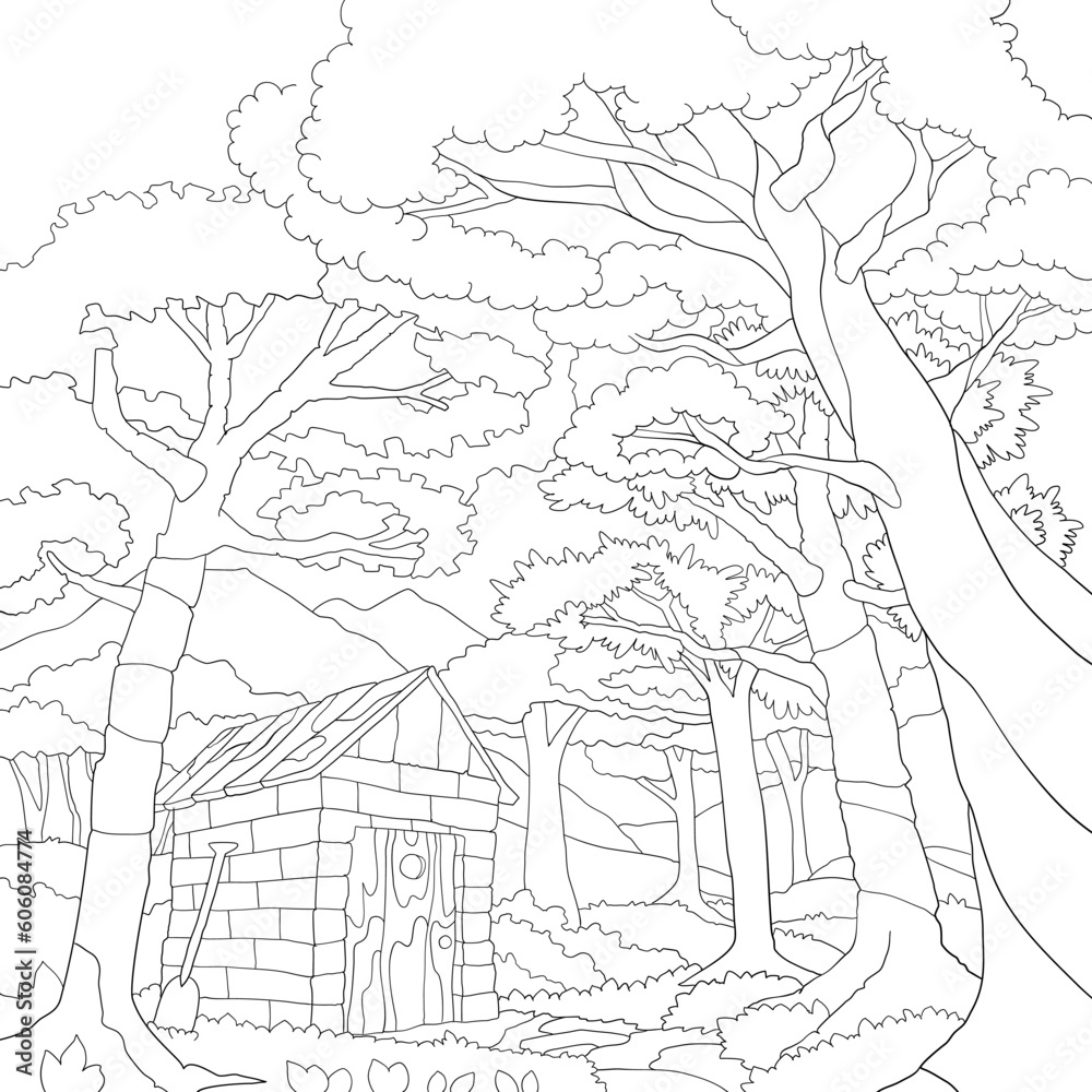 Fototapeta premium coloring landscape in the mountain forest