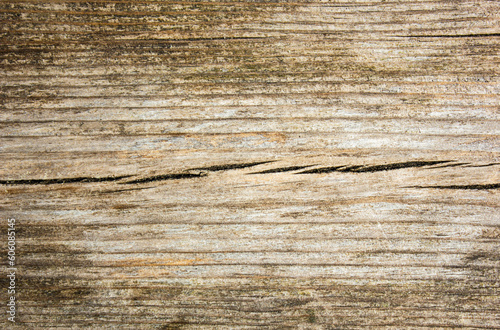 Texture of old natural dry wood.Dark wood,background.Grunge. Wood fiber.