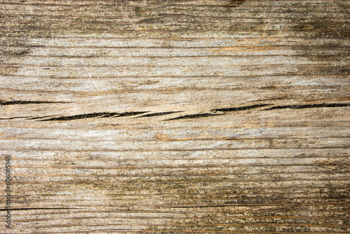 Texture of old natural dry wood.Dark wood,background.Grunge. Wood fiber.