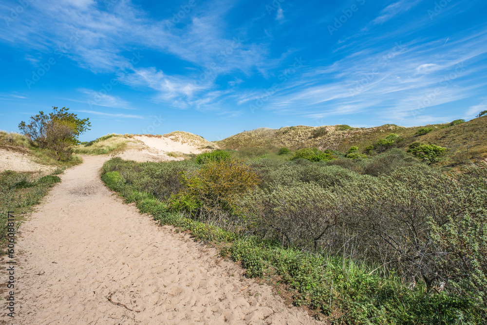Hiking through the dunes near Egmnd aan Zee - NL in spring Hiking through the dunes near Egmnd aan Zee - NL in spring