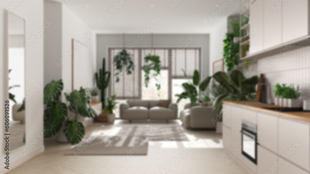 Obraz premium Blurred background, love for plants concept. Kitchen and living room interior design. Parquet, sofa and many house plants. Urban jungle idea
