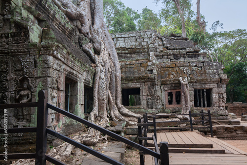 Ta Prohm, is a royal monastery located in the jungle and is recognized by its labyrinth pattern of the Vines resting all over the ruins