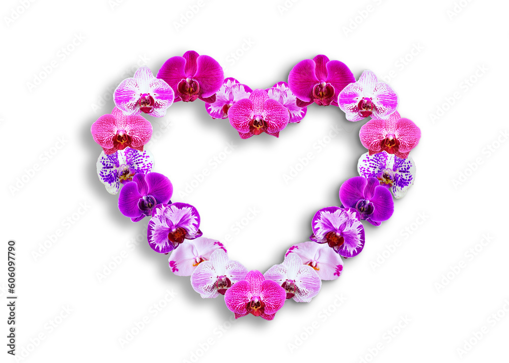 Pink and purple orchids in a heart shape on a white background