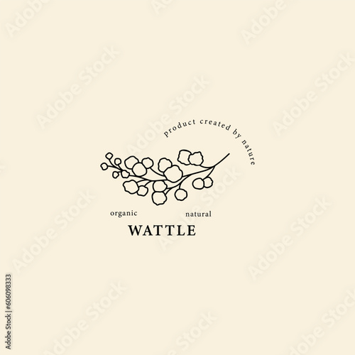 Line art watttle flower illustration