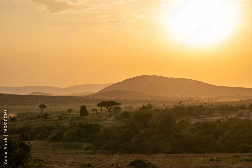 Iconic dusk orange sunset scene in the Masaai Mara reserve in Kenya Africa
