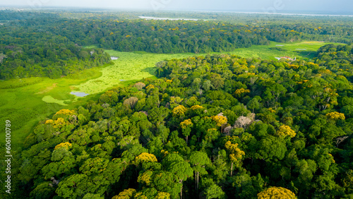 Jardins Aquáticos do Parque Ambiental do Utinga: Árvores, Lagos Bolonha e Água Preta em um Verde Maravilhoso photo