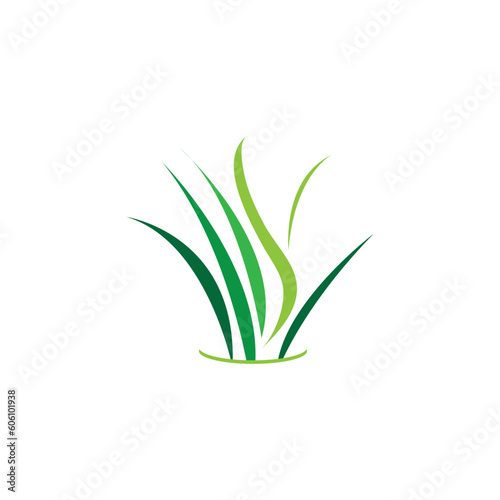 Green grass. Spring. Gazon. Vector icon.