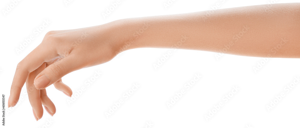 Elegant female hand, perfect skin, manicure. Hand hold. Sign and gesture. Photograph of a woman's hand, emphasizing community and togetherness. Elegant female hand, perfect skin, manicure. Hand hold. Sign and gesture. Photograph of a woman's hand, emphasizing community and togetherness.