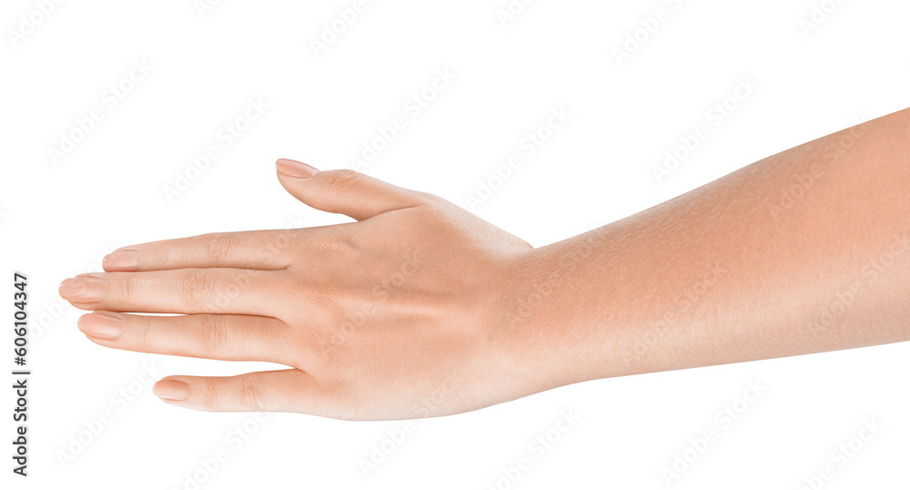 Open Palm. Female hand indicating a stop sign, presenting a clear boundary or limit to an interaction. Transparent Isolated PNG