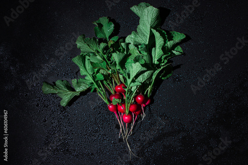 Wet radish with tops on a black background. Fresh vegetables