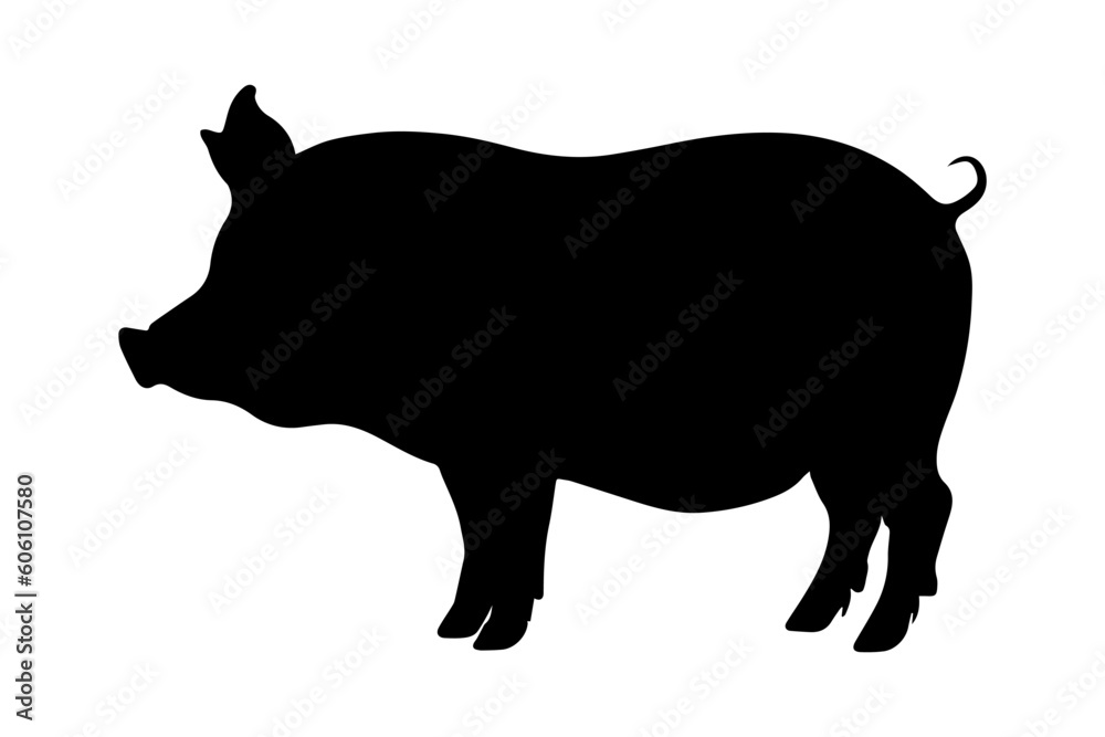 Pig silhouette isolated on white background. vector illustration Pig silhouette isolated on white background. vector illustration