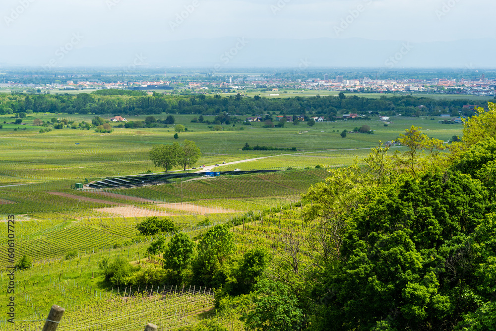 Une centrale photovoltaïque, virgule au coeur du vignoble alsacien, CeA, Alsace, Grand Est, France