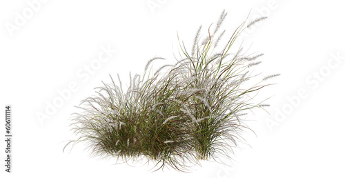 Grass with colorful flowers on transparent background