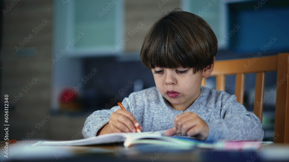 One small boy drawing at home. Child doing school work indoors holding pen on paper One small boy drawing at home. Child doing school work indoors holding pen on paper