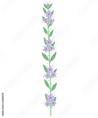 Fototapeta Naklejka Na Ścianę i Meble -  soft purple flower vine