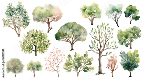High resolution watercolor tree illustration collection transparent background generative ai