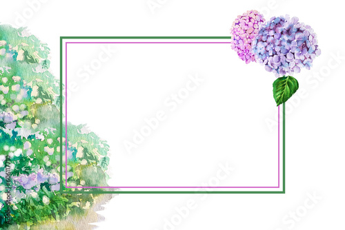 hydrangea flower watercolor illustration for frame and postcard. decorating ideas for invitation cards