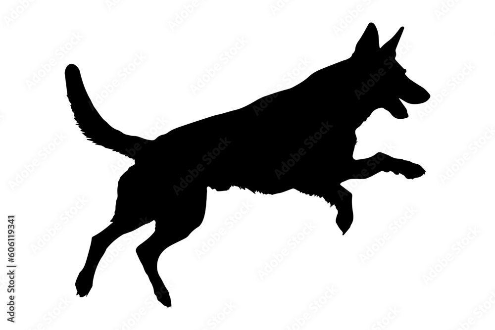Jumping Defense German shepherd dog silhouette isolated on a white background. Vector illustration