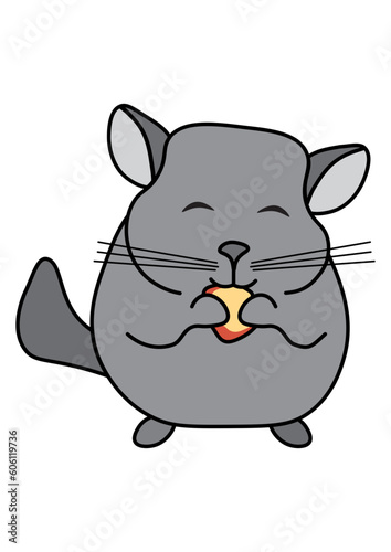 Cute chinchilla eating dried apple doodle vector illustration