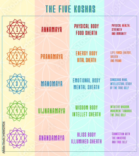The five koshas colorful infographic. Layers or sheaths of human body in yoga philosophy