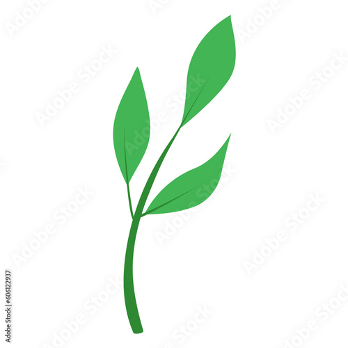 simple flat green leaf with three petals 