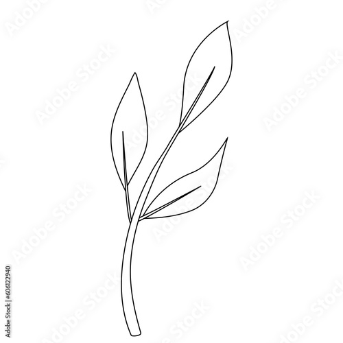 simple flat leaf with three petals black line © Lisa
