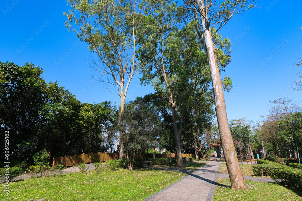 台湾 台北市 象山、永春崗公園 台湾 台北市 象山、永春崗公園
