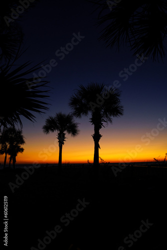 Gold and Purple Sunset Over the Beach with Palm Trees 7