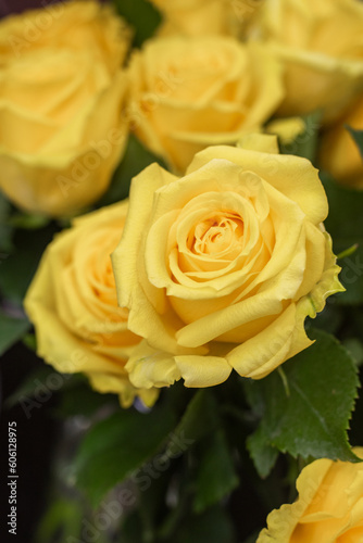 Yellow roses close up. Showcase in a flower shop. Fresh bouquet. Master classes and floristry courses. Flower delivery.