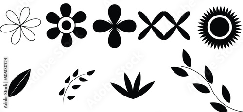 black and white flowers