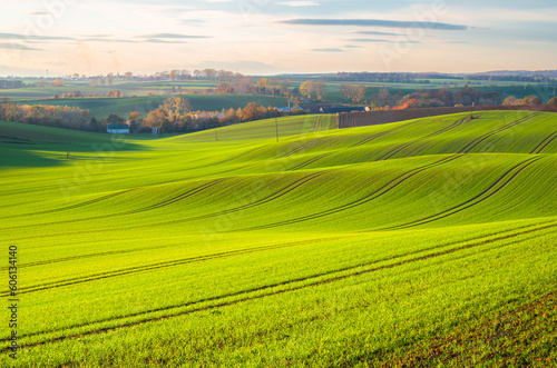 green hills fields rural landscape in Poland