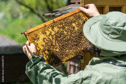 Farmer wearing bee suit working with honeycomb in apiary. Beekeeping in countryside. Male beekeeper in a beekeeper costume, inspects a wooden frame with honeycombs holding it in her hands, closeup