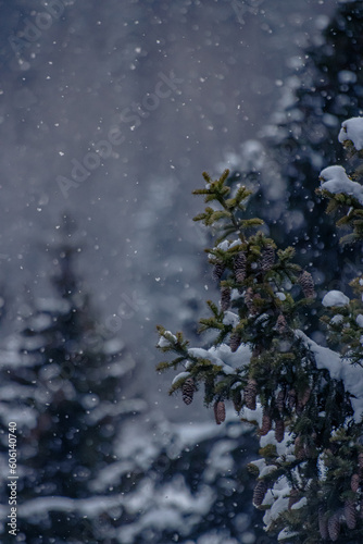 Moody winter landscape 