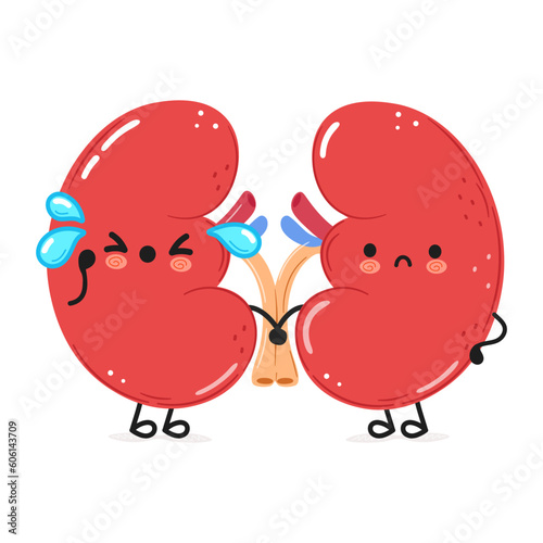 Cute sad Kidneys character