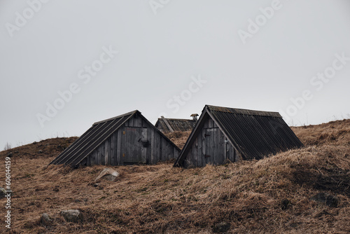 Triangular roofs of cellars sunk into the ground in the midst of withered grass on the field in the countryside on the north photo