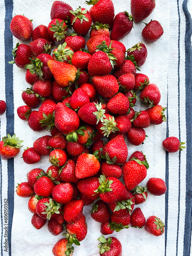Fresh Cut Fruit, Strawberries, Blackberries, Blueberries, Cheese