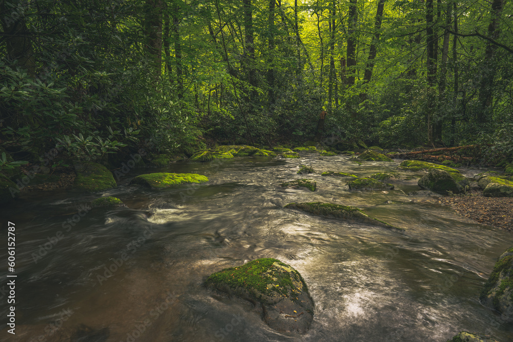 Mossy Creek Mossy Creek