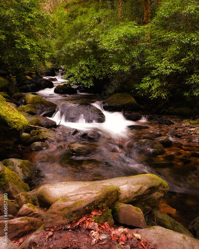 Picturesque waterfall